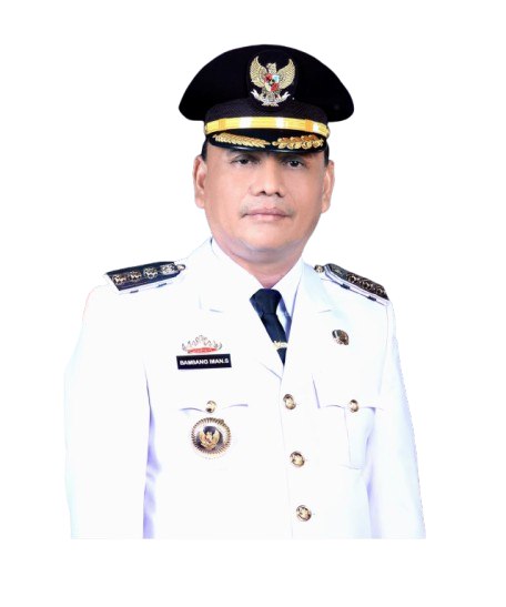 Walikota Metro